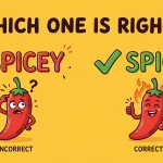 Spicey vs Spicy
